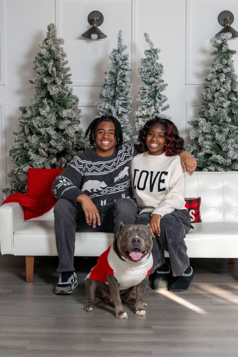 Festive holiday portrait series with family and their smiling gray pitbull dog in front of snow-covered Christmas trees.