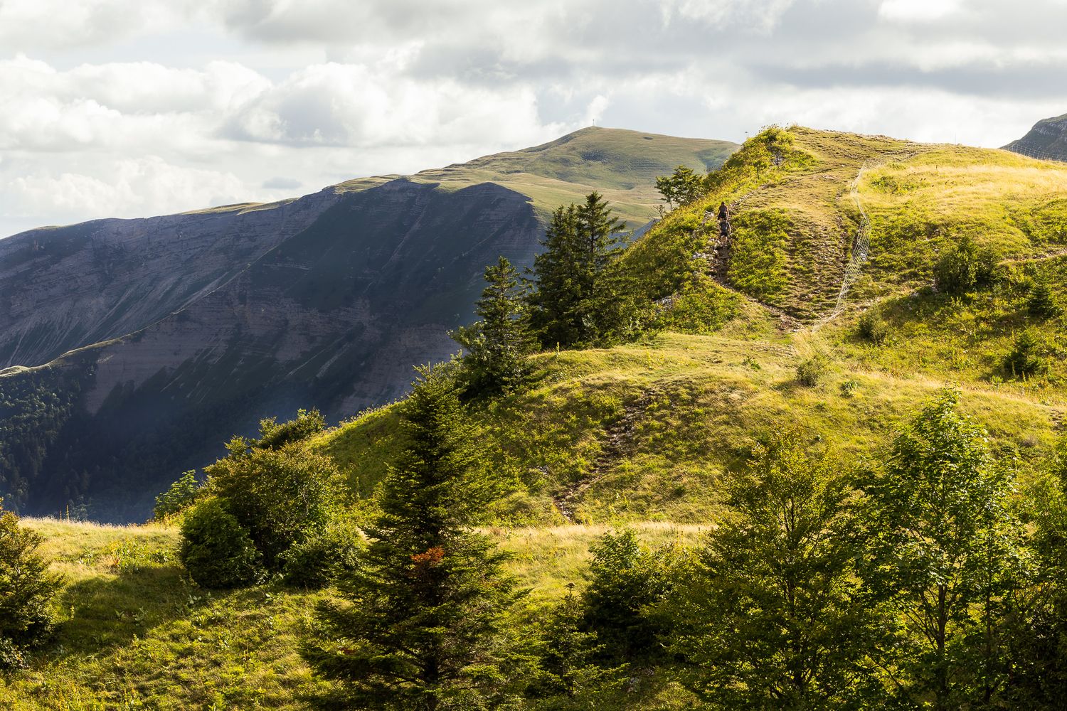 Vue panoramique d'une montagne dans le Jura avec beaucoup de verdures et de soleil