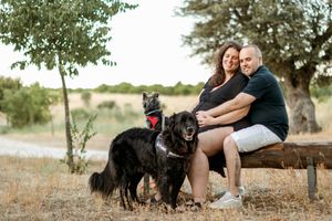 Happy couple sitting on bench with their two black dogs in nature setting.