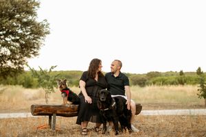 Couple sitting on wooden bench with two black dogs in golden field.