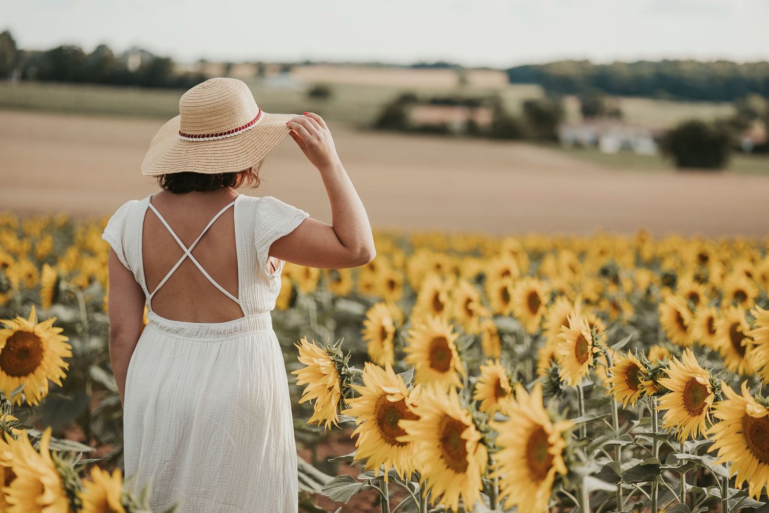 Frère et soeur partagent un tendre moment, entourées de fleurs épanouies dans un champ doré d'été.