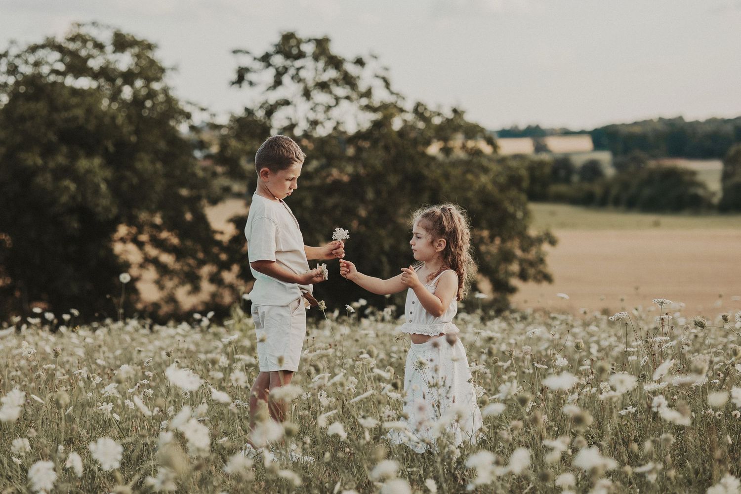 Frère et soeur partagent un tendre moment, entourées de fleurs épanouies dans un champ doré d'été.