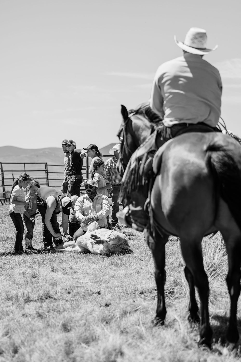Cowboys on horseback gather in an open field during a western ranching activity.