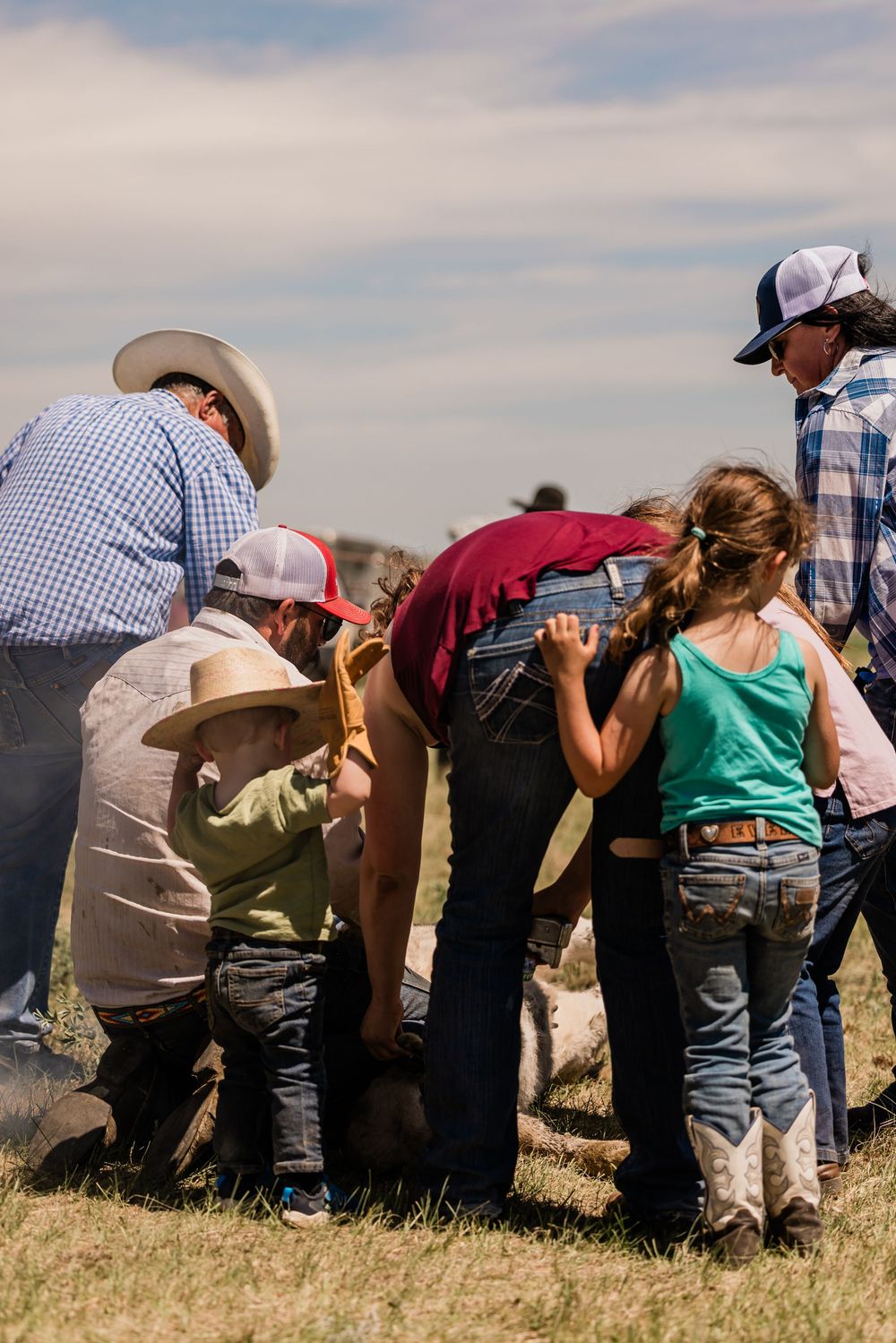 A group of spectators lined up watching ranch activities in a grassy field.