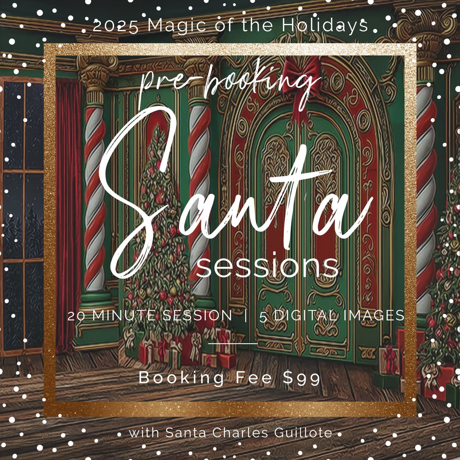 Santa mini session promo