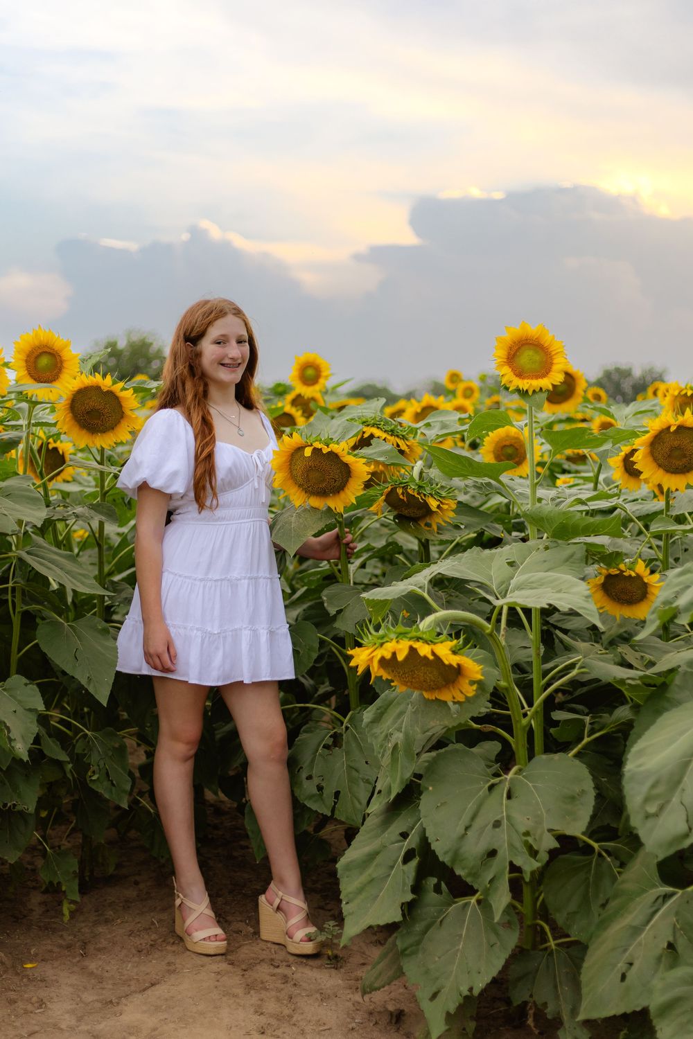 Wichita Kansas Family Photographer, Sunflower Mini's