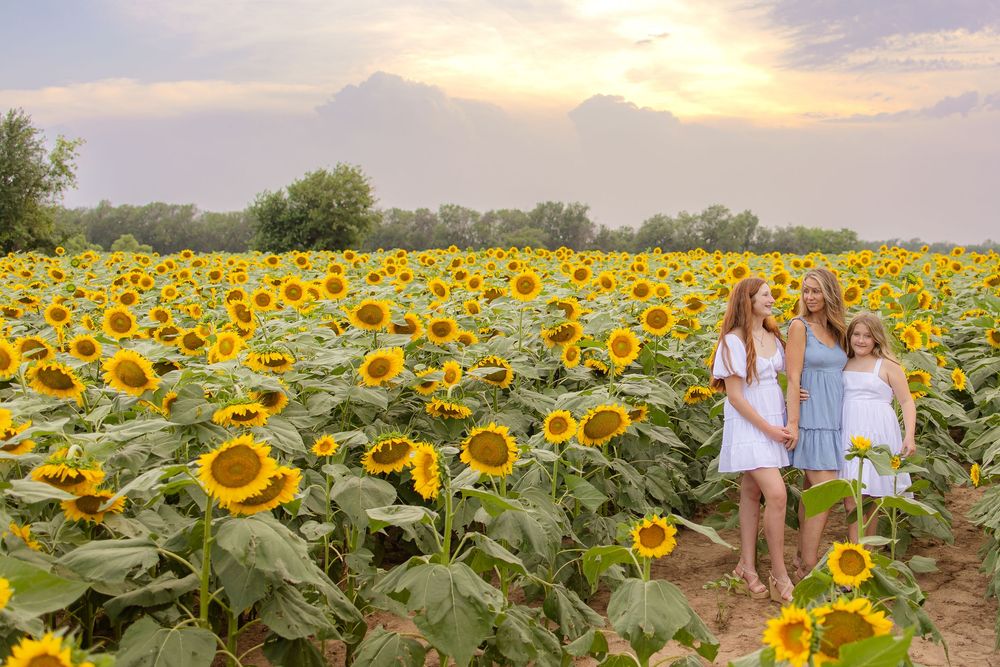 Wichita Kansas Family Photographer, Sunflower Mini's