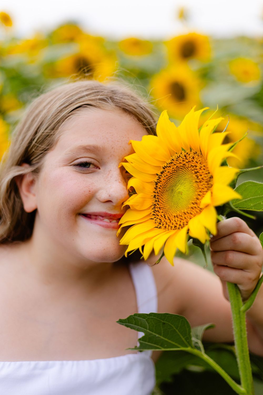 Wichita Kansas Family Photographer, Sunflower Mini's