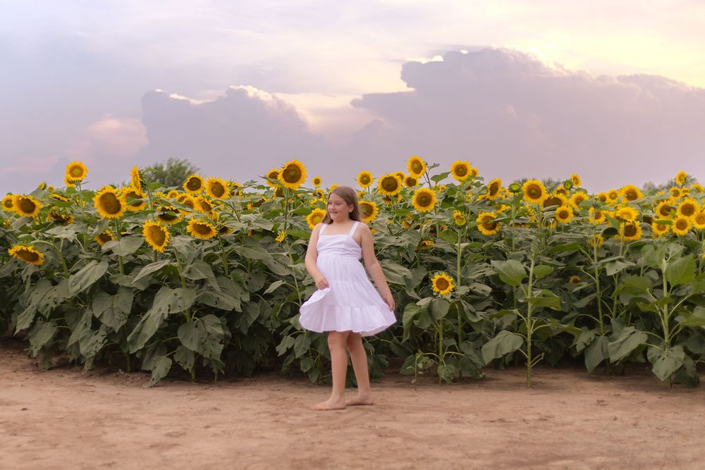Wichita Kansas Family Photographer, Sunflower Mini's