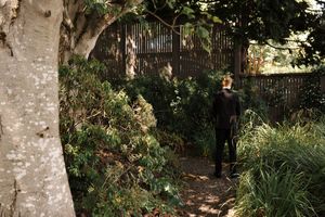 A shaded garden path winds through white birch trees and lush green vegetation on a sunny day.