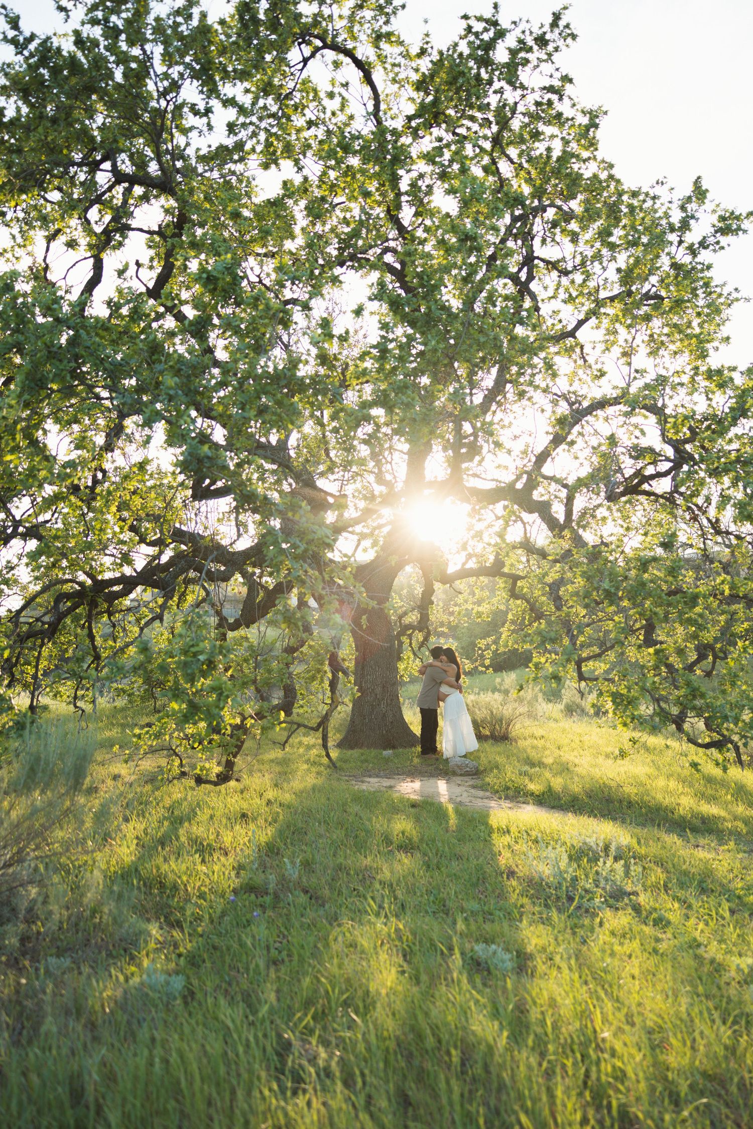 Maternity session in Simi Valley with a couple embracing under an oak tree with golden sun flare