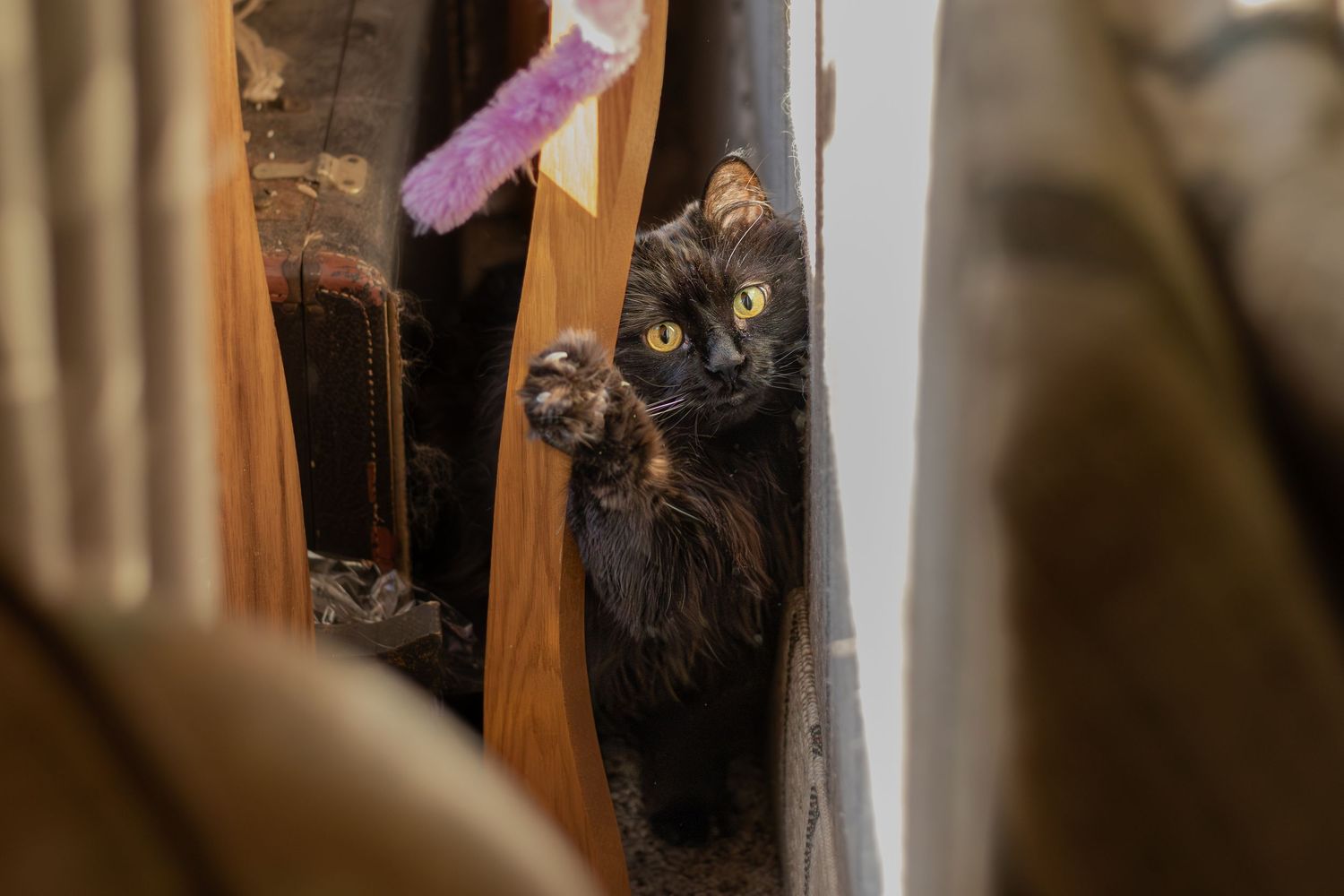 Black cat peeking curiously through wooden furniture gap with raised paw indoors.