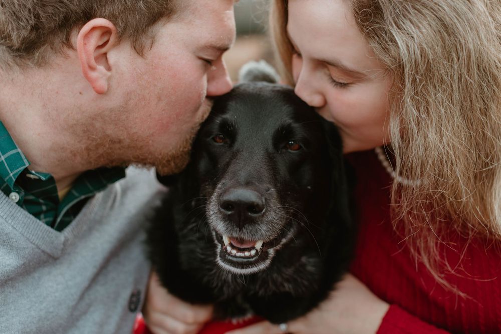 A sweet moment with a happy black dog getting kisses in front of a red truck.