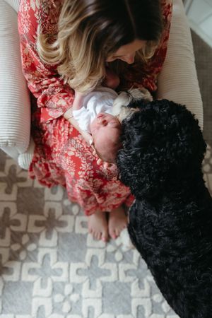 A fluffy black dog curiously sniffs a newborn baby lying on a cozy patterned carpet next to someone in a red dress.