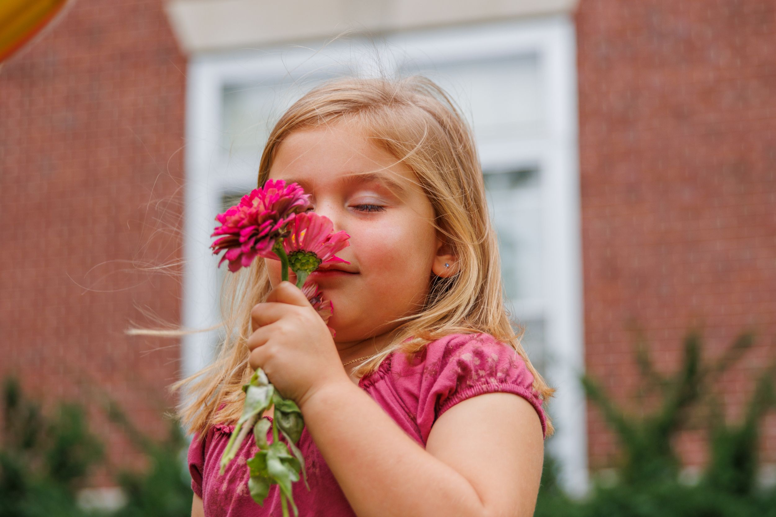 Person smelling bright pink flowers in a garden with red brick building in background.