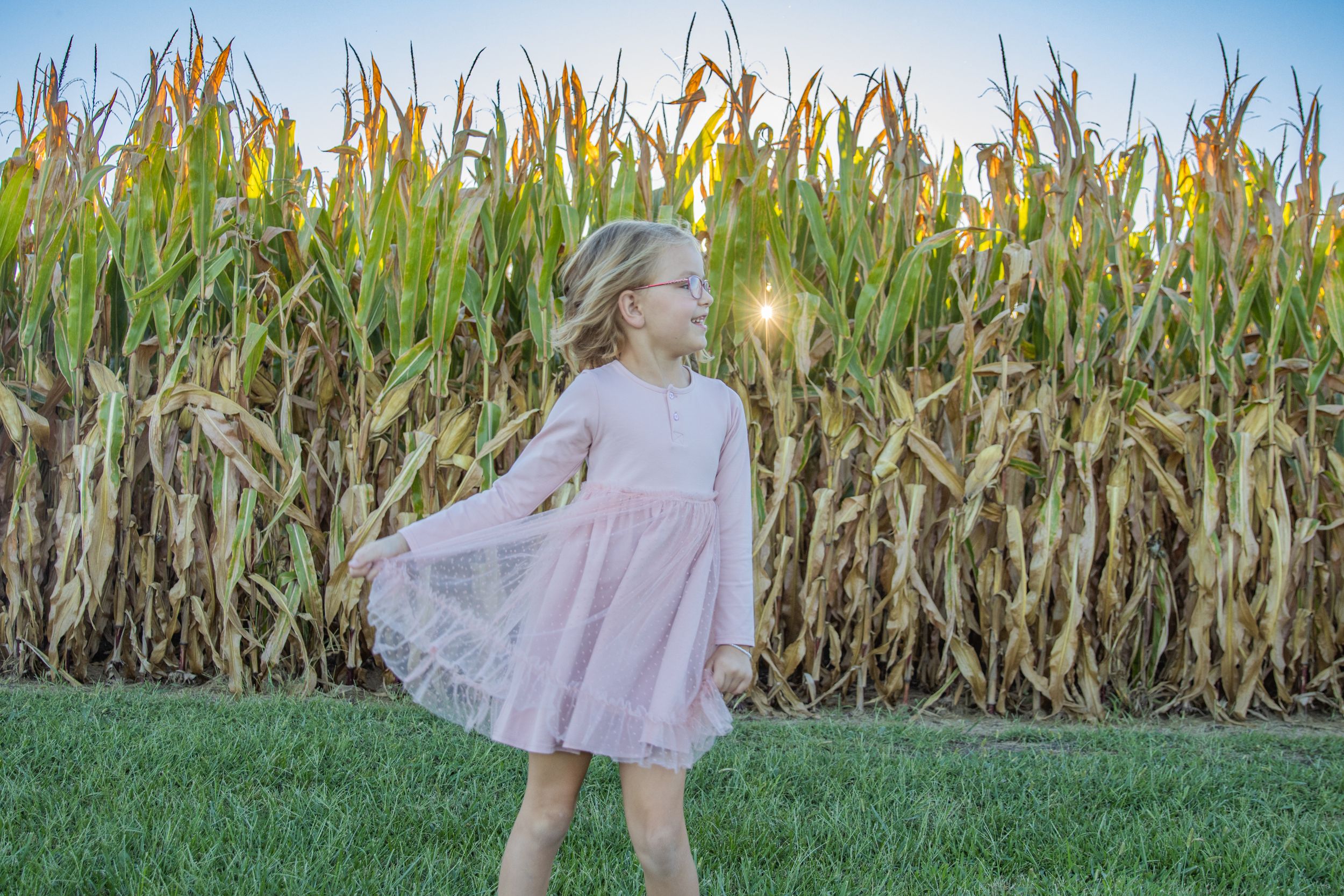 Series of photos taken in front of a tall cornfield during golden hour.