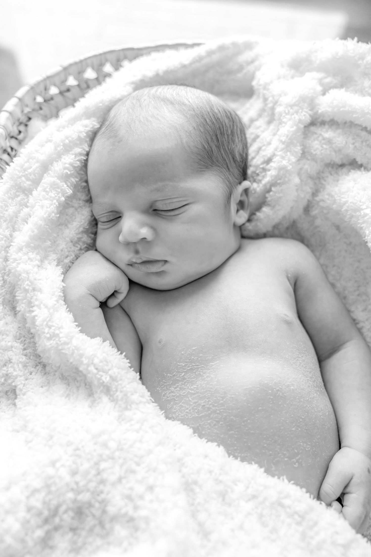 Boston Newborn Photographer. New born baby in a basket.