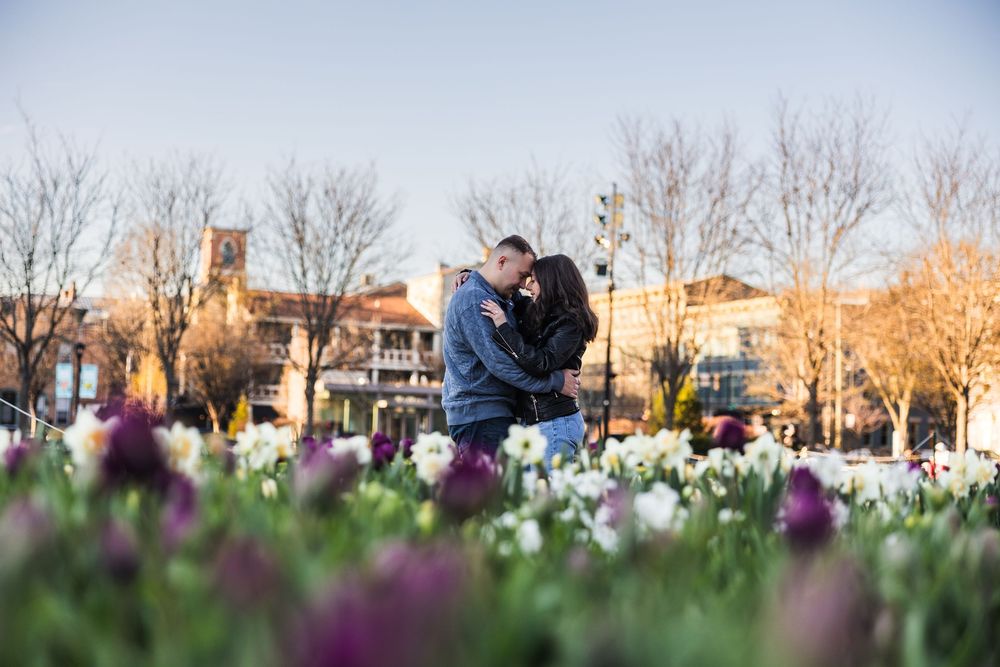 Couple embracing among vibrant purple and white tulips in a sunny urban park setting.