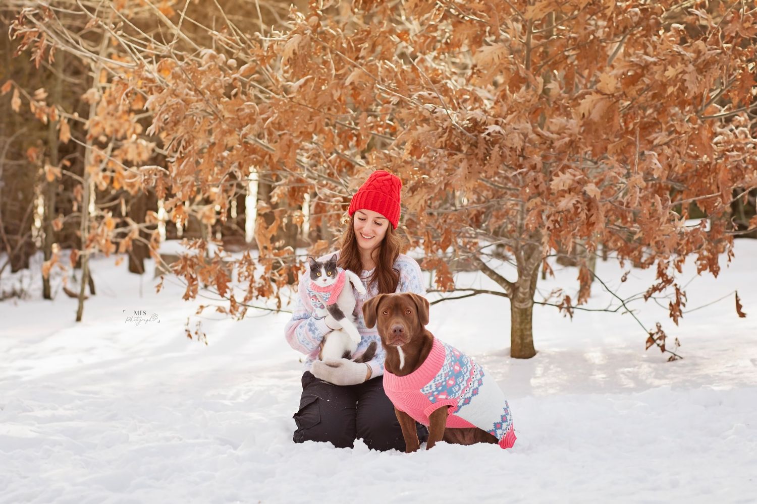 Girl with read beanie holding her cat and her chocolate labrador dog in a winter scenery