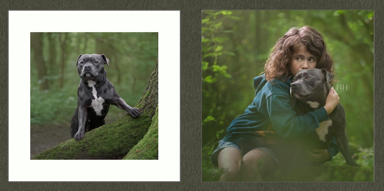 Series of outdoor pet photography shots in natural green settings.