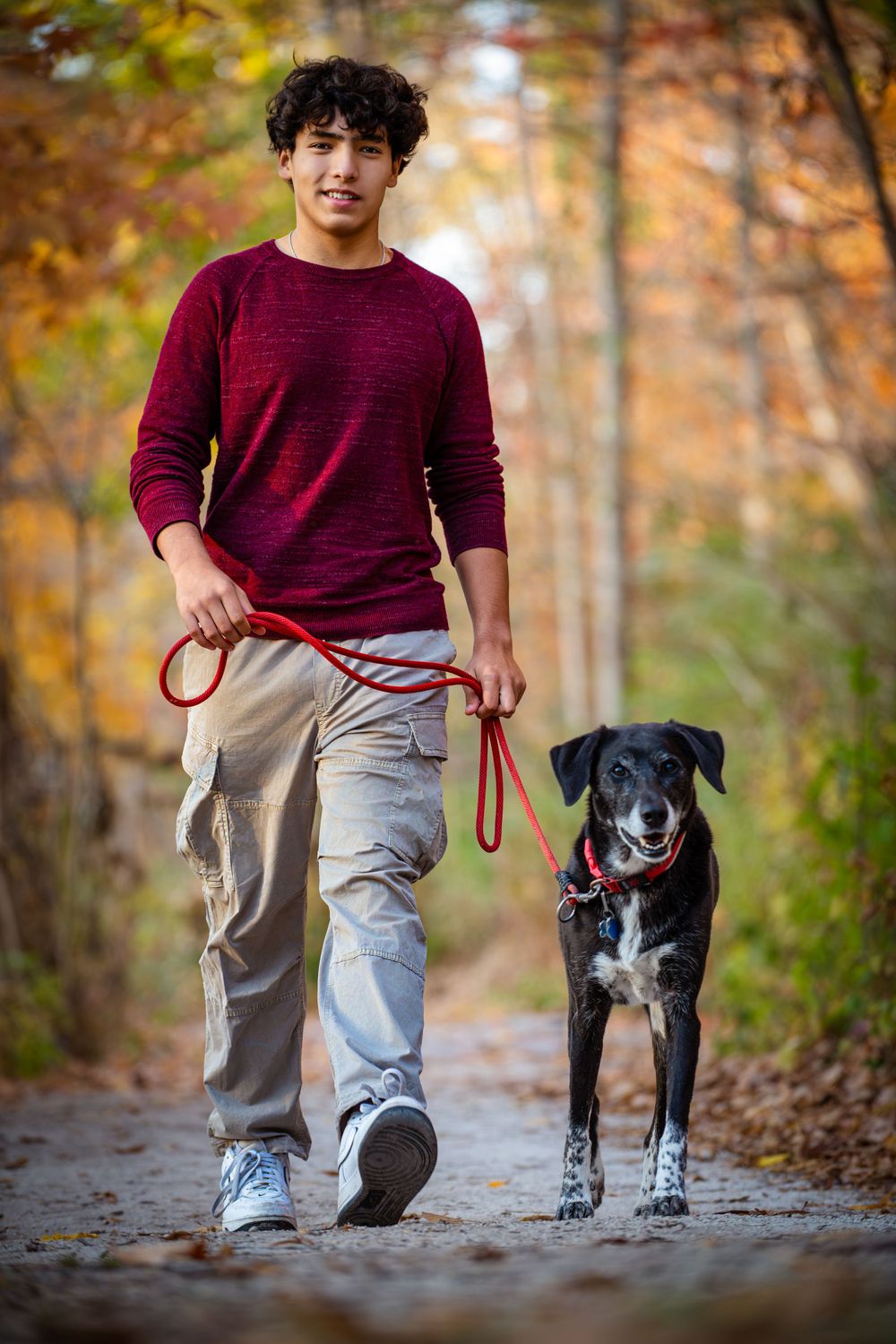 Person in burgundy sweater walking black and white dog on autumn forest trail.