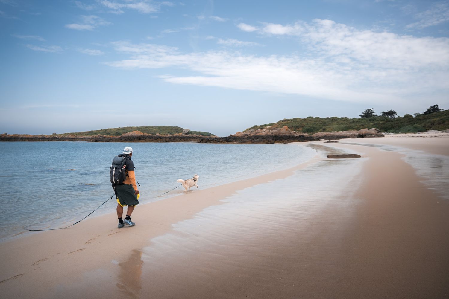Un promeneur et son chien sur une plage des îles Chausey dans le département de la Manche en Normandie - Cotentin.