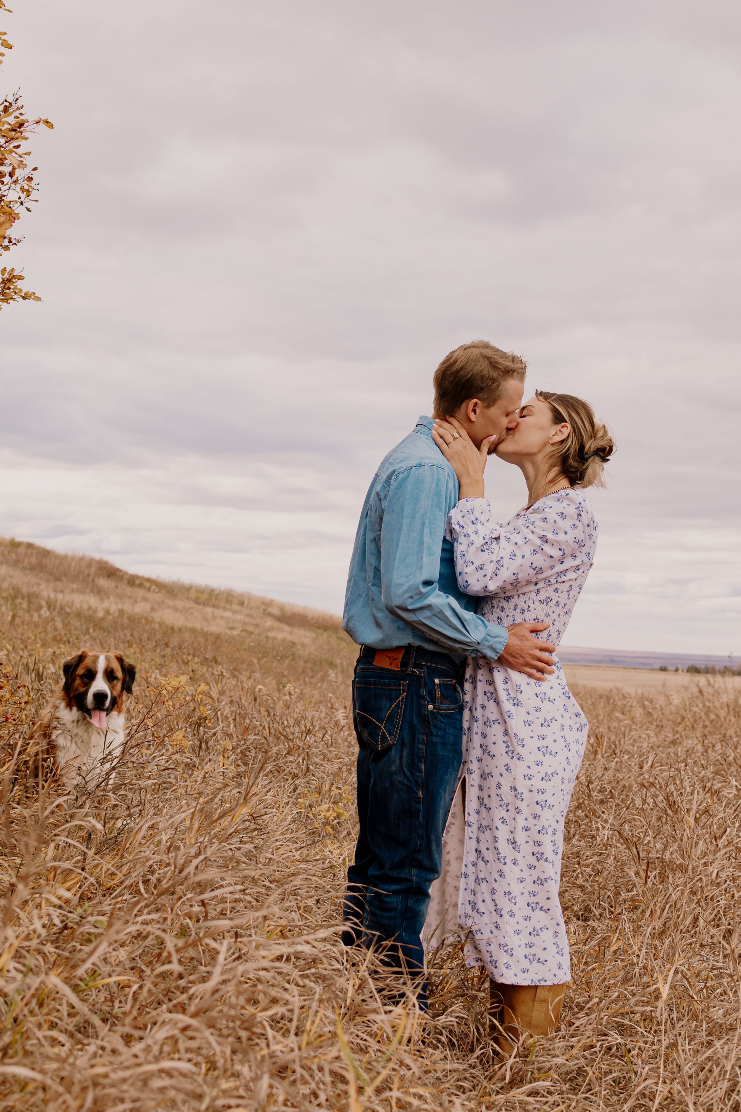 A romantic couple embraces in a golden wheat field on an overcast day with a dog visible in the background.