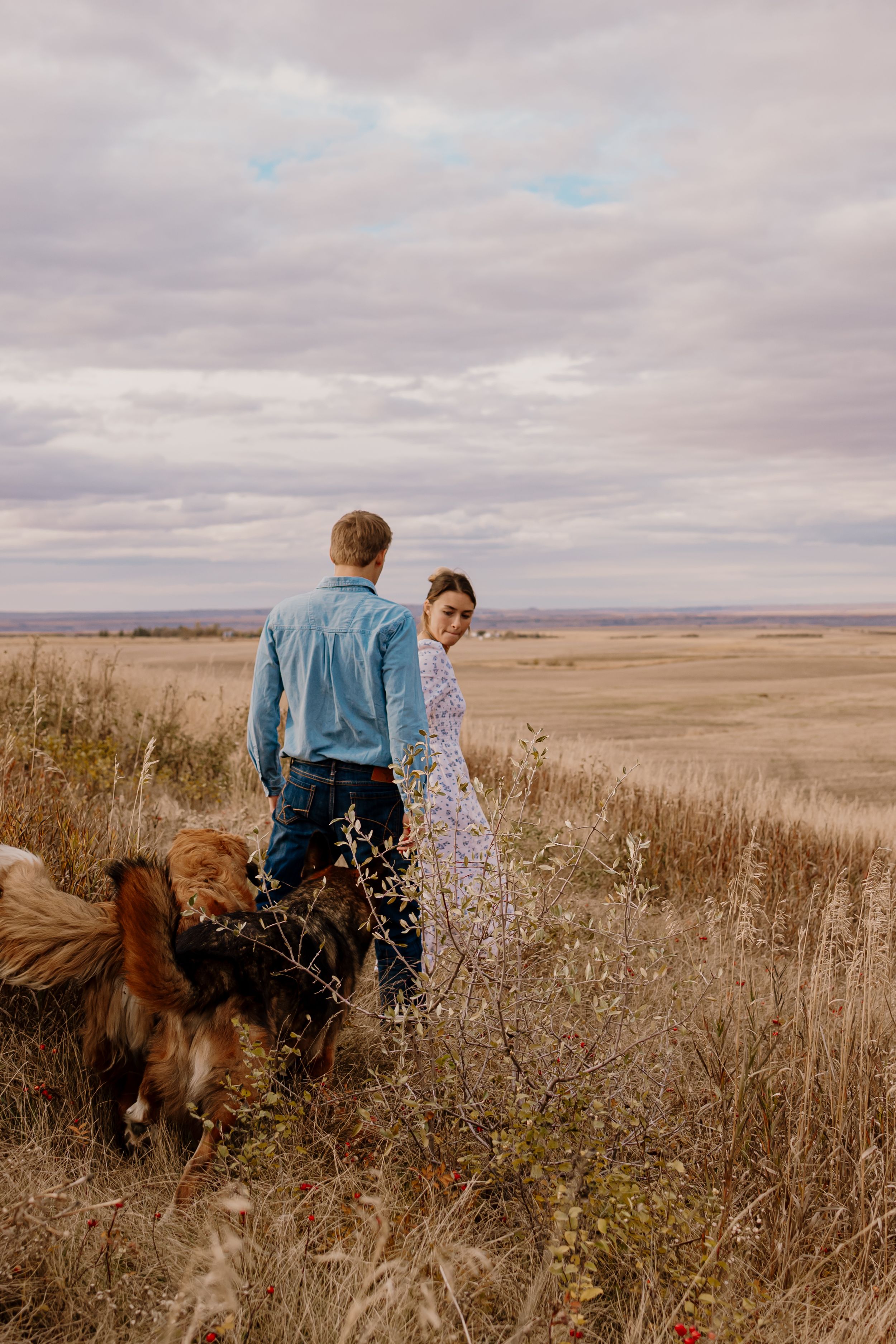 People and a dog standing in a vast prairie landscape with cloudy skies and tall grass.