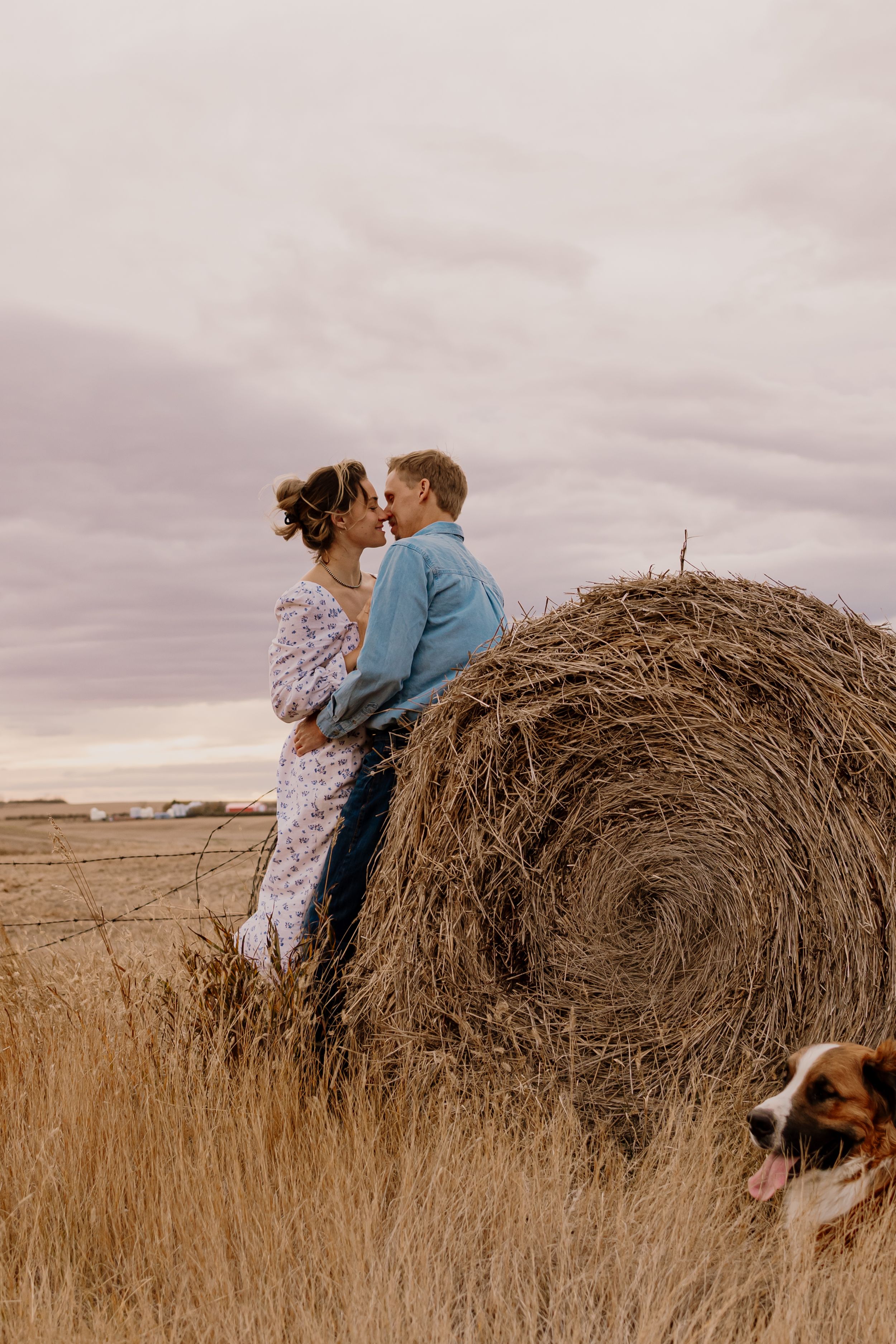 Two people kiss near a large hay bale in a rural field with their dog watching nearby.