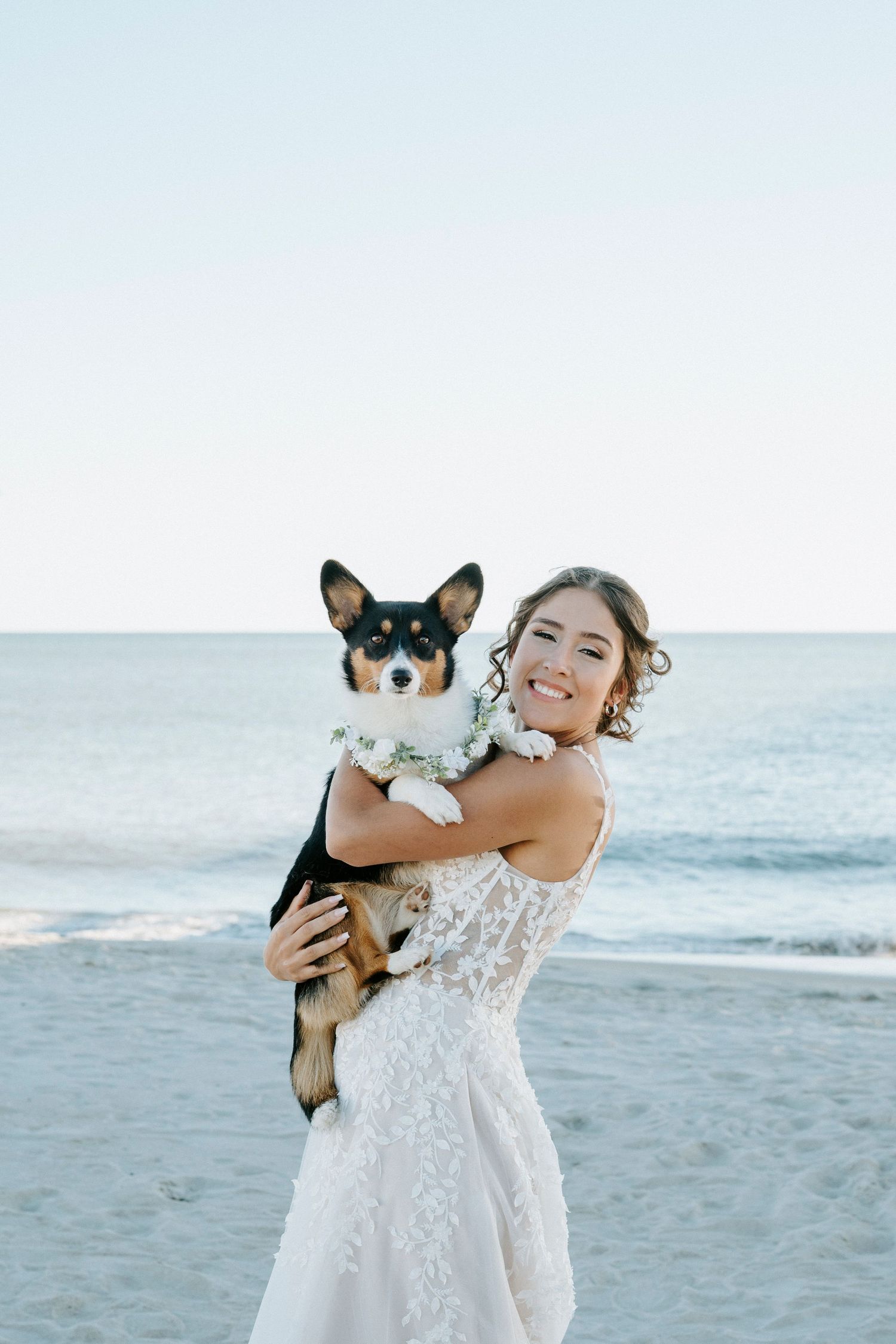 A bride in a white lace dress holds a small chihuahua mix dog while standing on a beach at sunset.