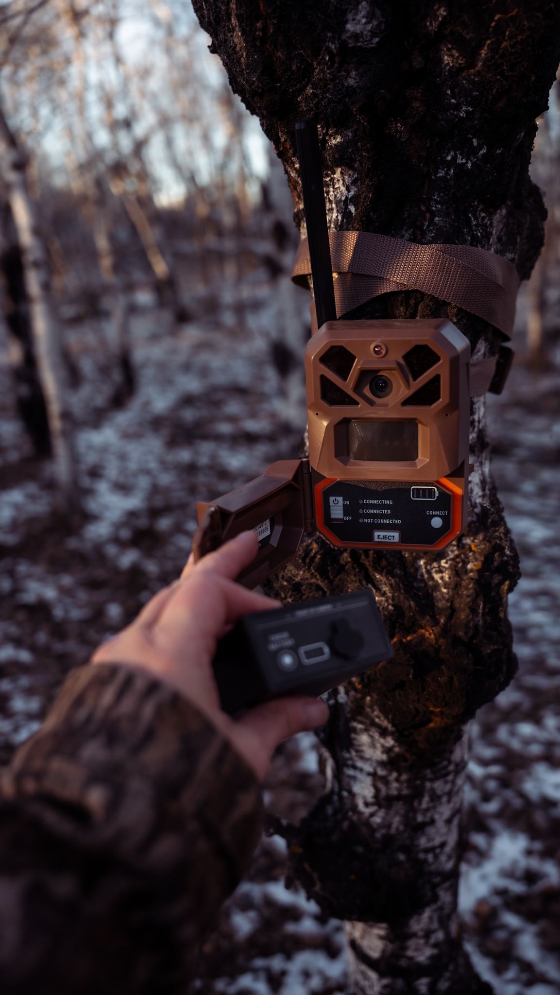 A sequence of images showing a trail camera being mounted and adjusted on a tree trunk in a dark forest setting.
