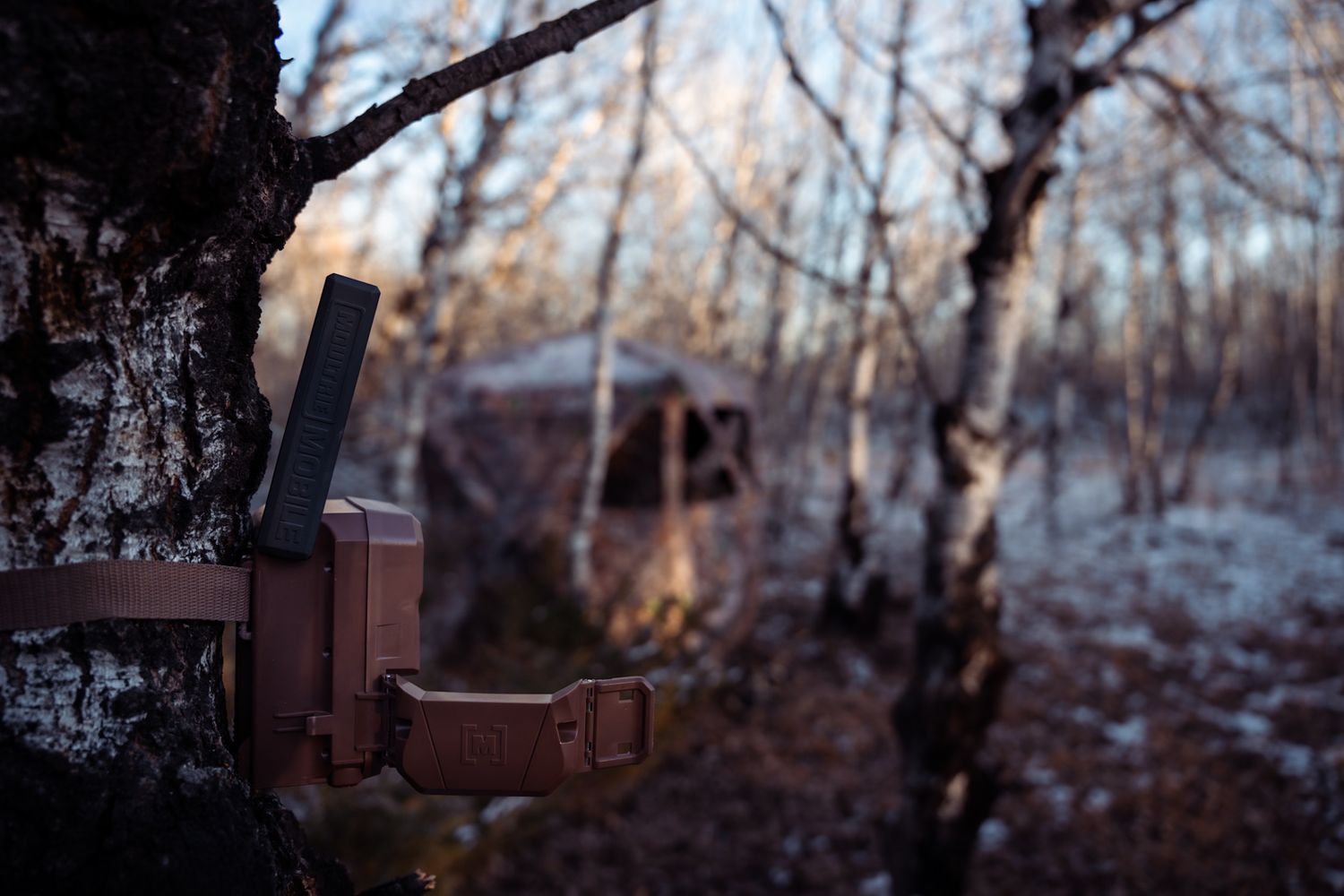 Rustic brick mailbox stands along a wooded path in winter with bare trees in the background.