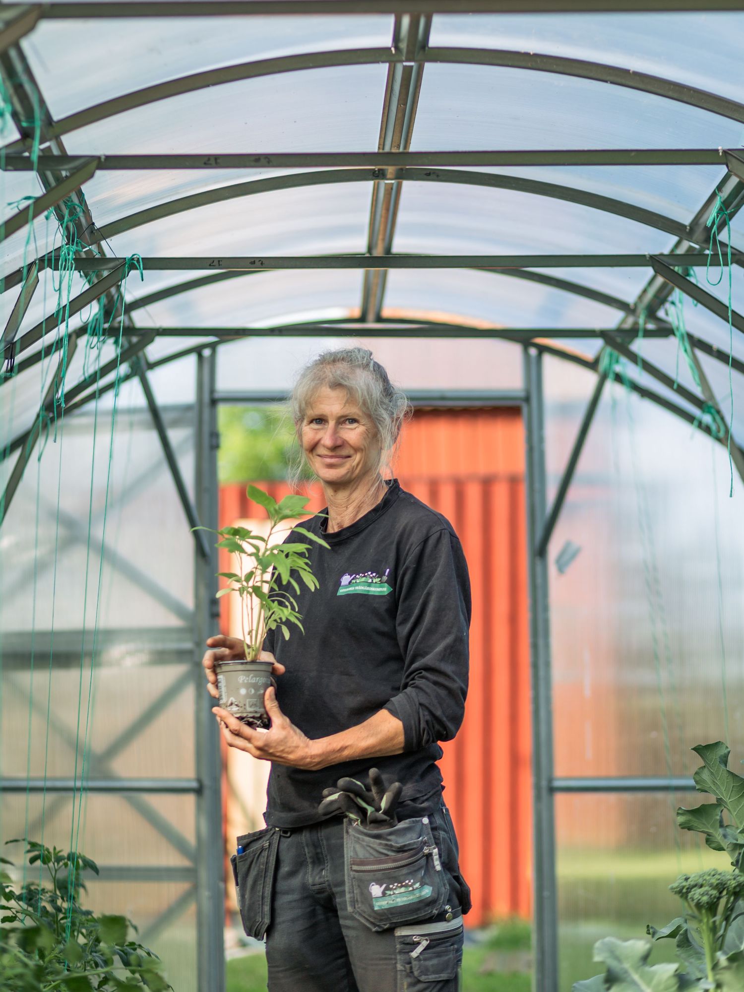 A greenhouse interior with curved metal framing shows someone holding a potted plant against a bright background.