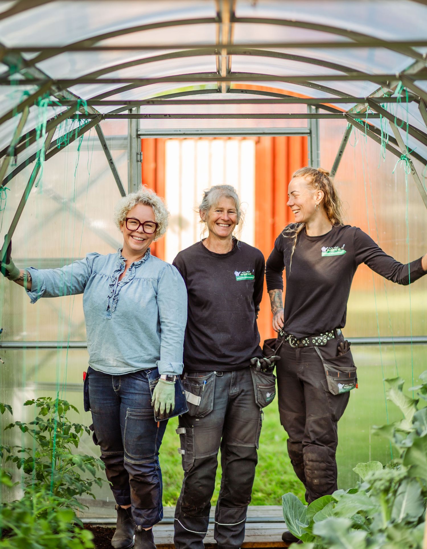 A group of gardeners work together tending to plants inside a greenhouse with bright natural lighting.