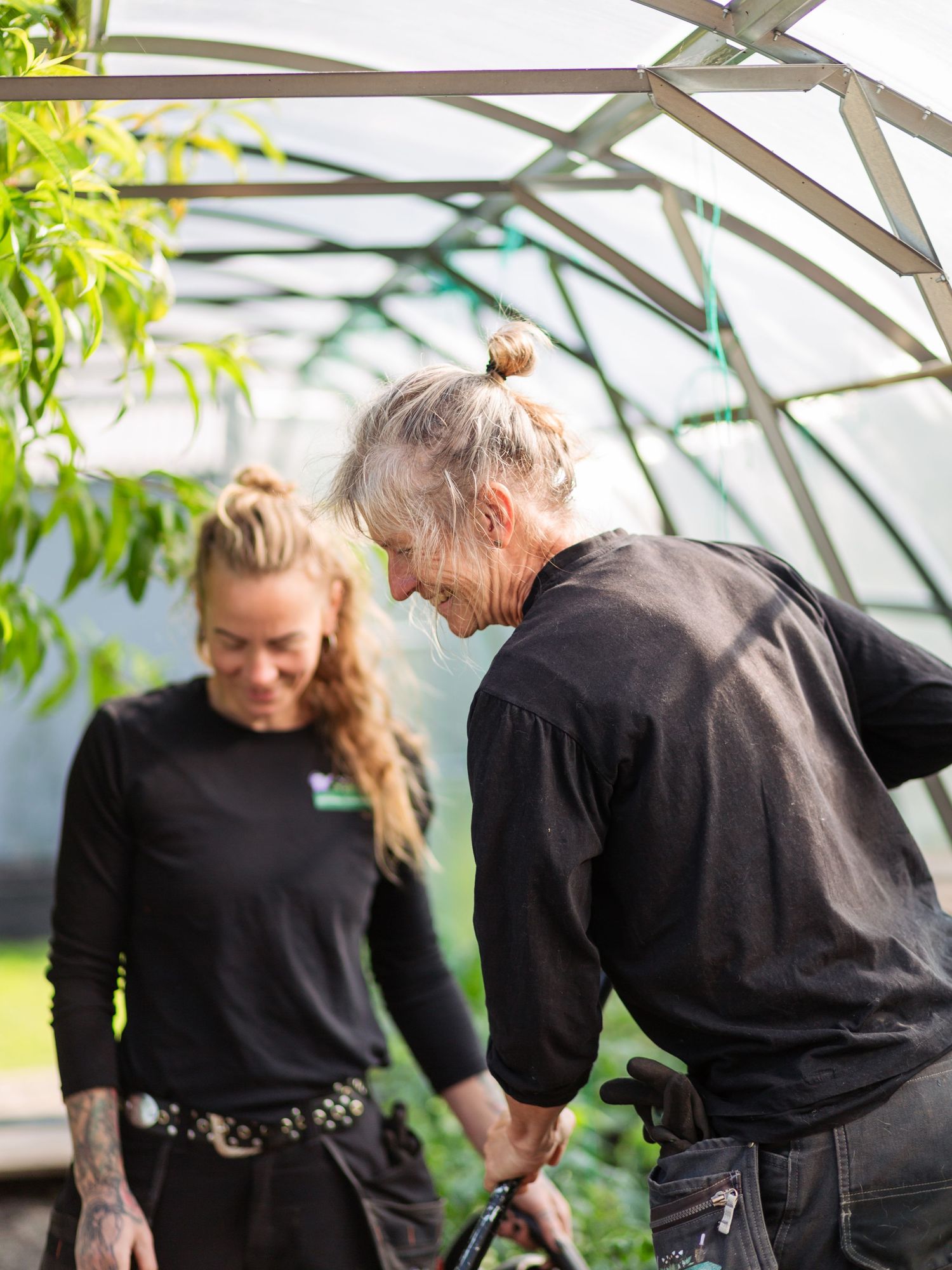 People in black clothing working together in a greenhouse environment.