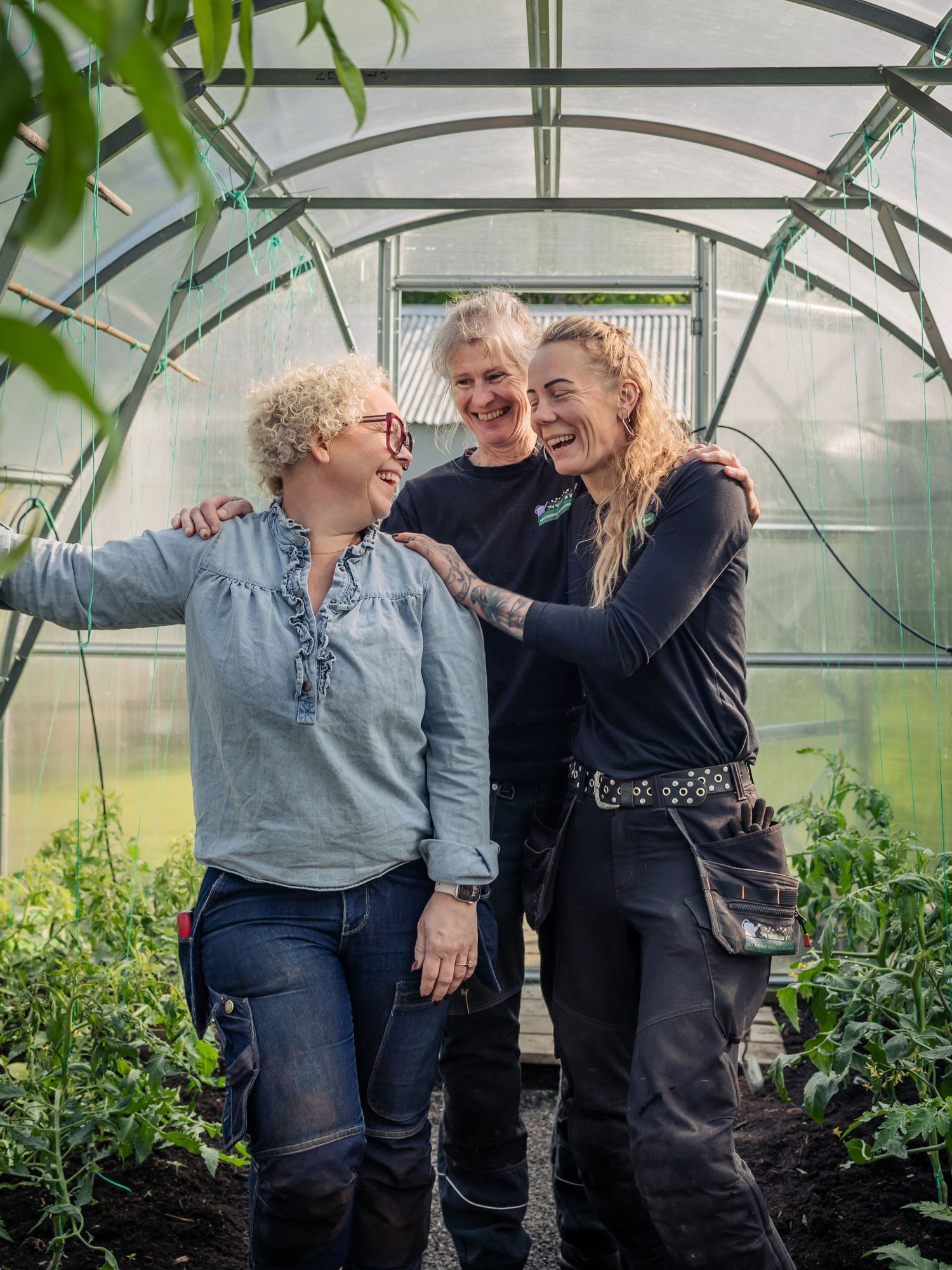 Three people share a lighthearted moment together while working in a greenhouse filled with green plants.