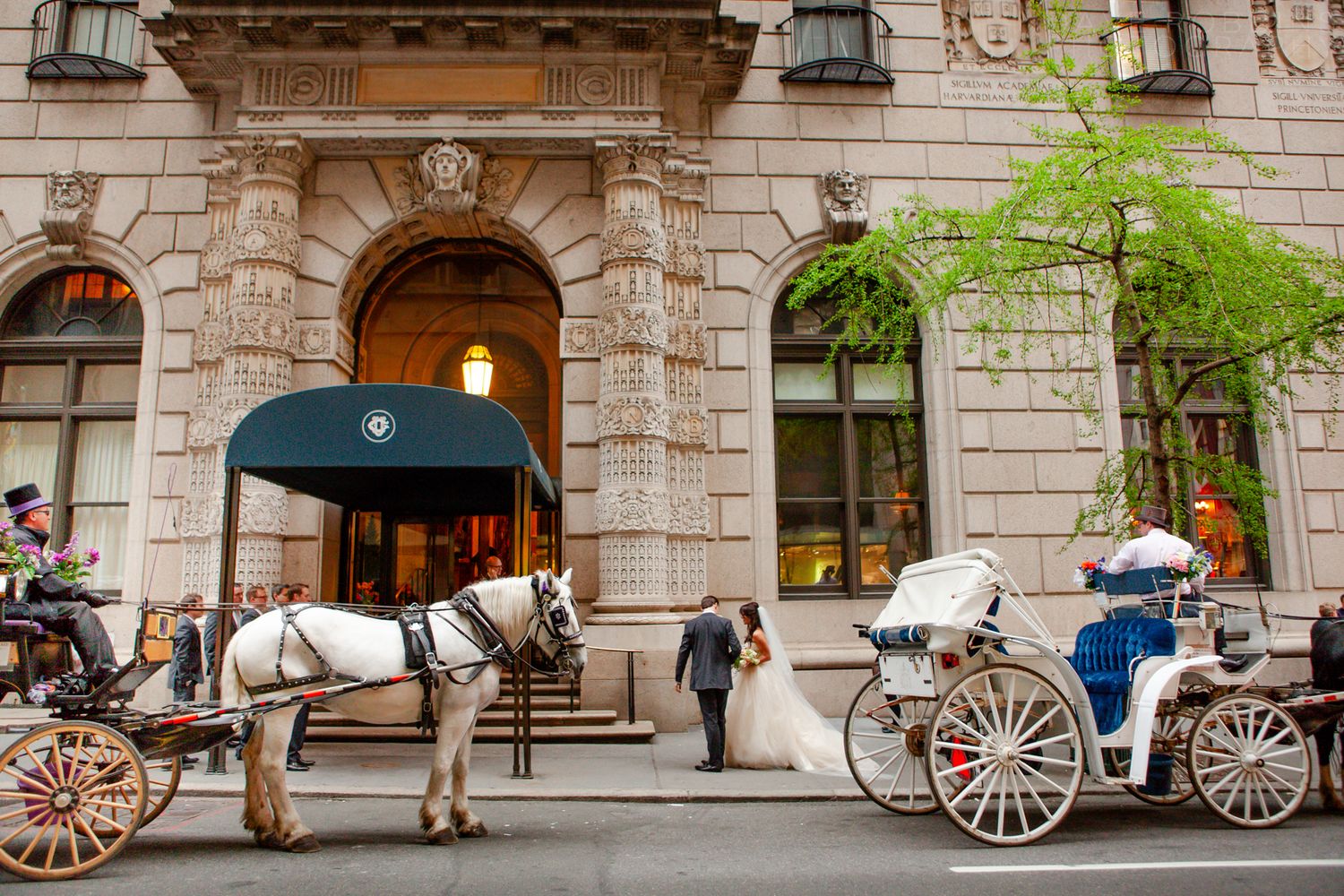 Horse-drawn carriage waits outside historic stone building with arched doorways and ornate architectural details.