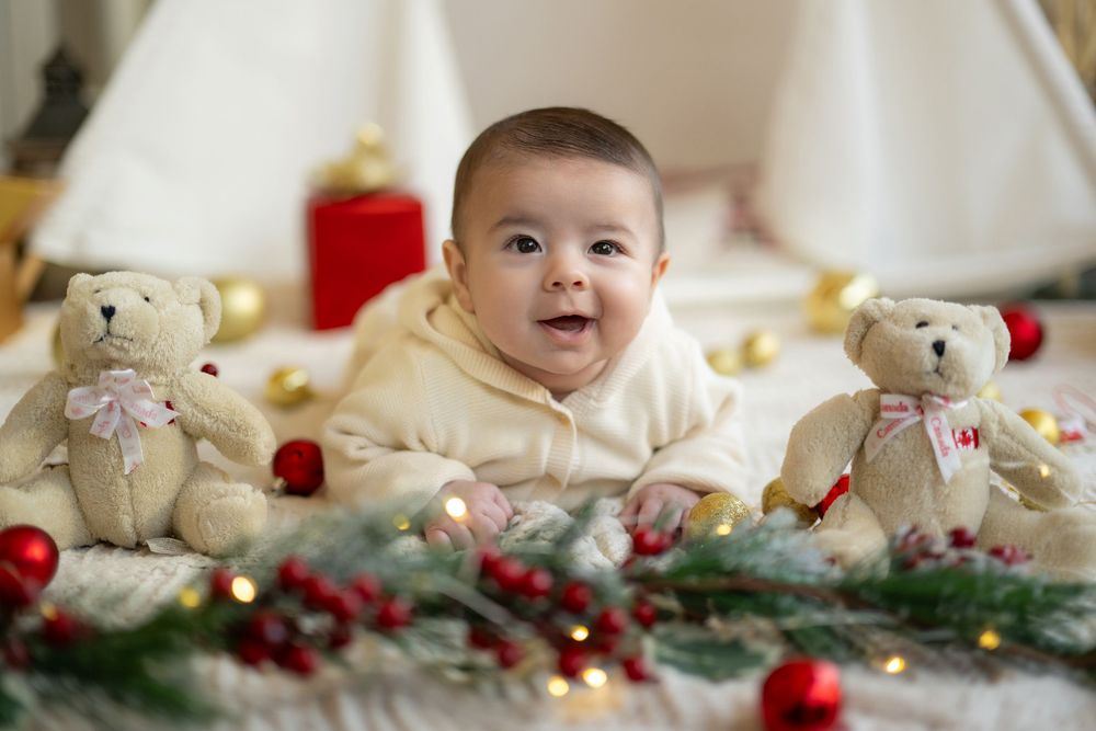 Holiday themed baby photo with teddy bears, evergreen branches, and red ornaments arranged in festive display.