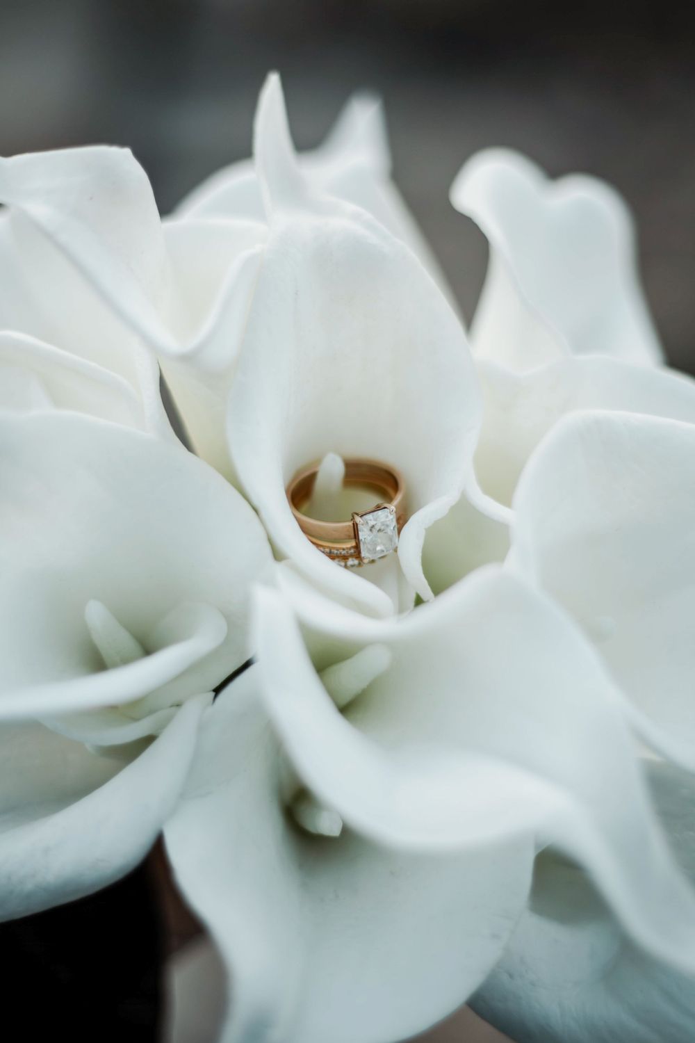 Close-up macro photograph of delicate white gardenia petals with a diamond engagement ring nestled within the bloom.