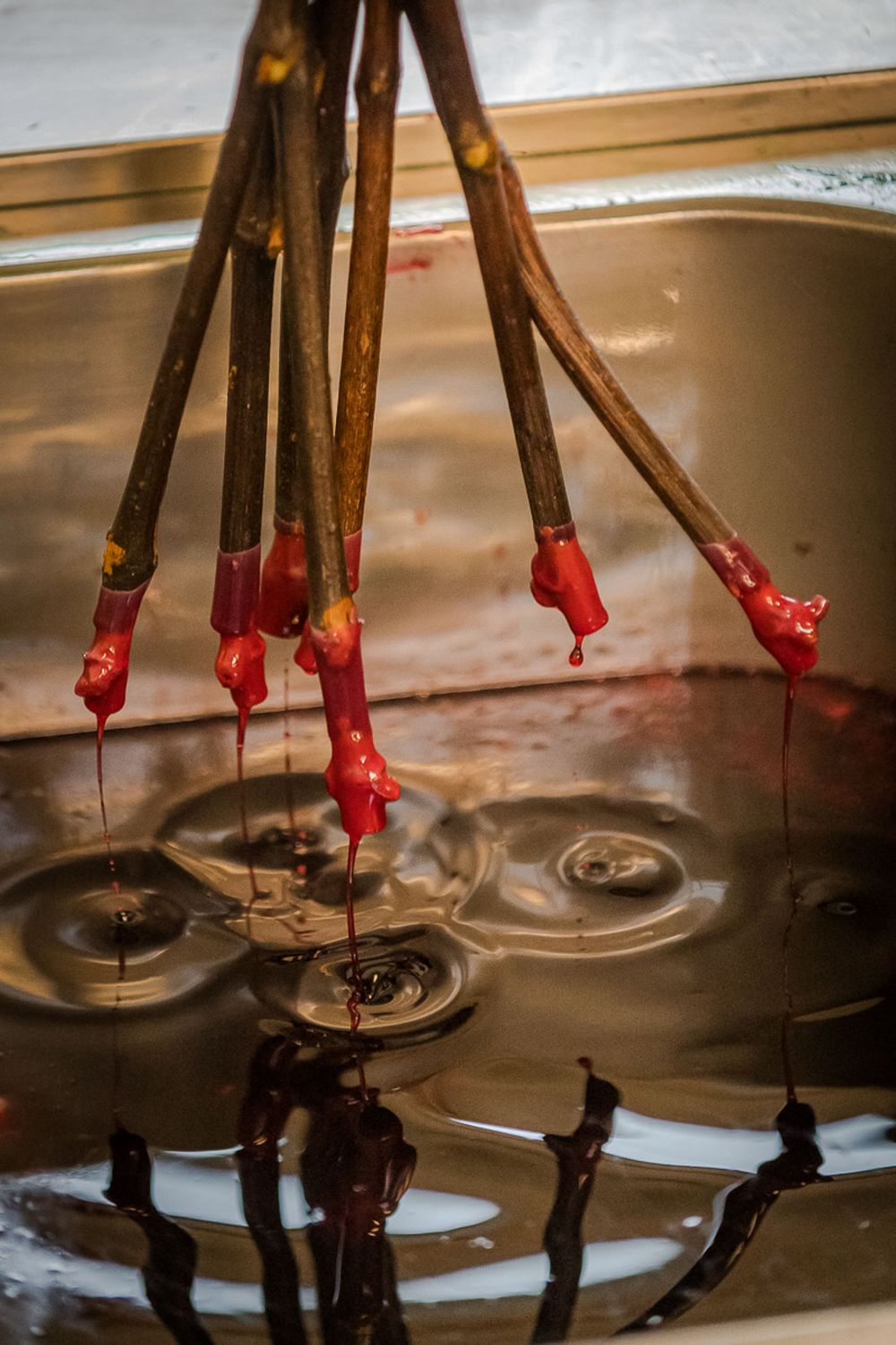 reisten vinařství roku víno fotografie michal schneider foto photo photography akce brand servis cena wine ceník rebschule schmid