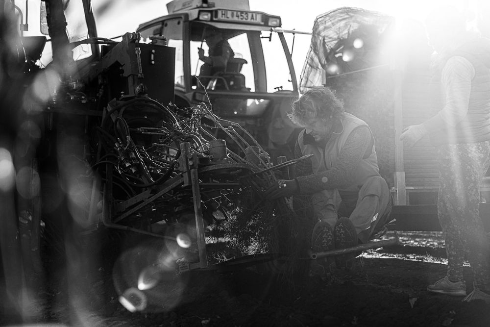 reisten vinařství roku víno fotografie michal schneider foto photo photography akce brand servis cena wine ceník rebschule schmid