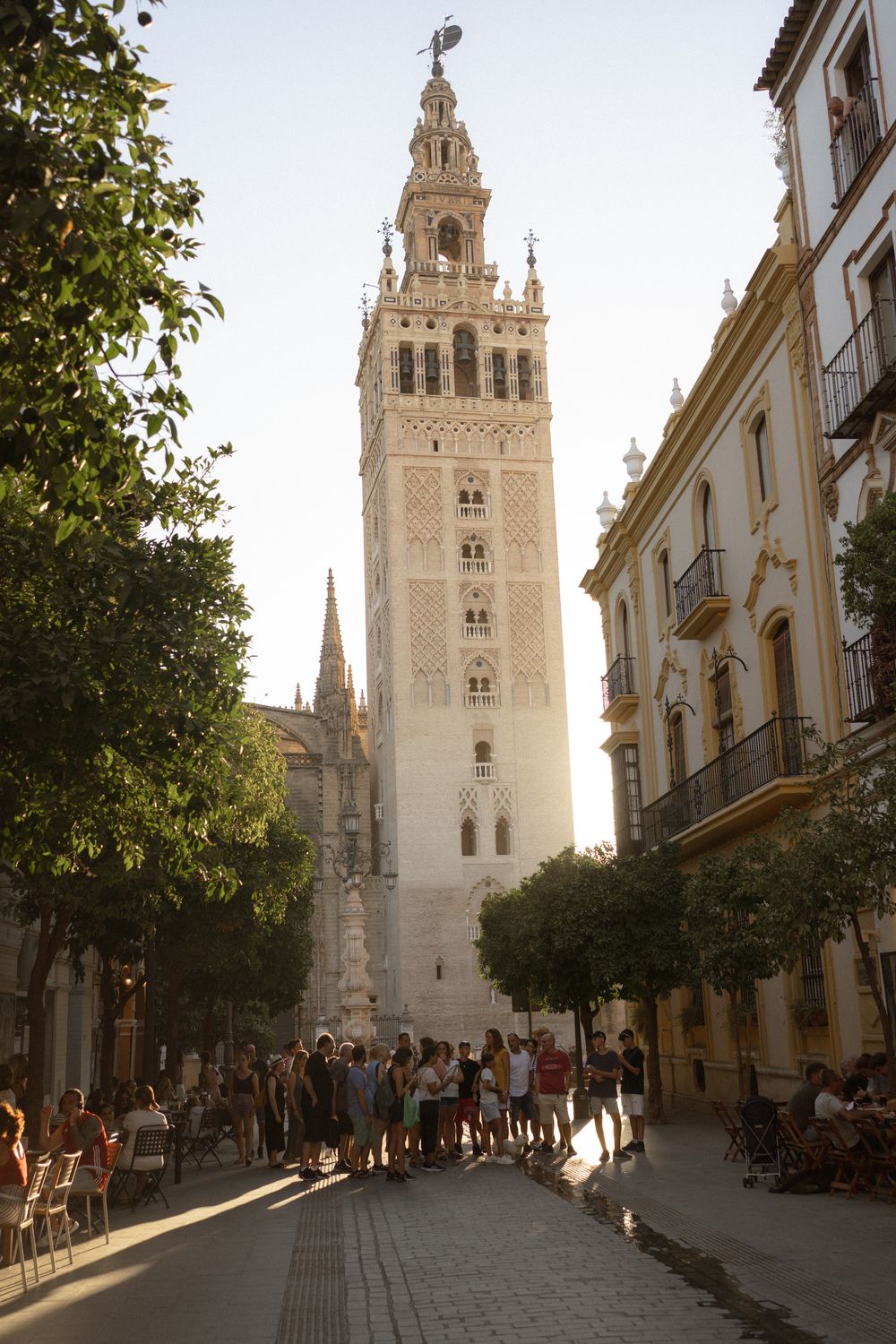 Historic Giralda tower of Seville Cathedral rises above charming Spanish street lined with traditional buildings in evening light.