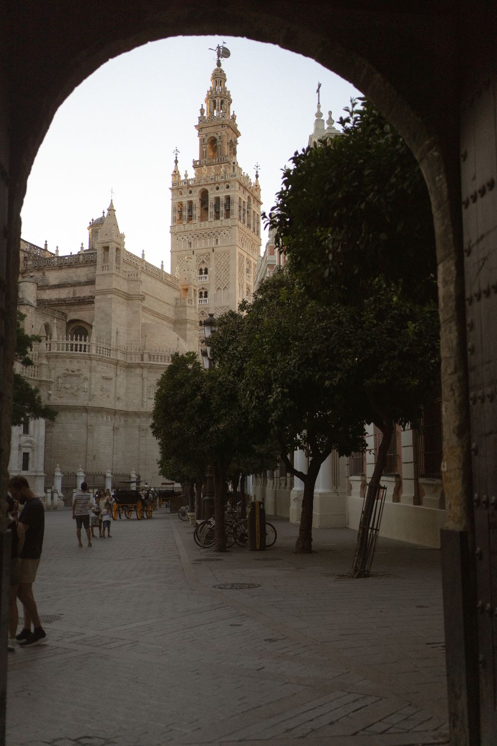 Gothic architecture of Seville Cathedral with its iconic spires and towers viewed through a row of trees in a courtyard.