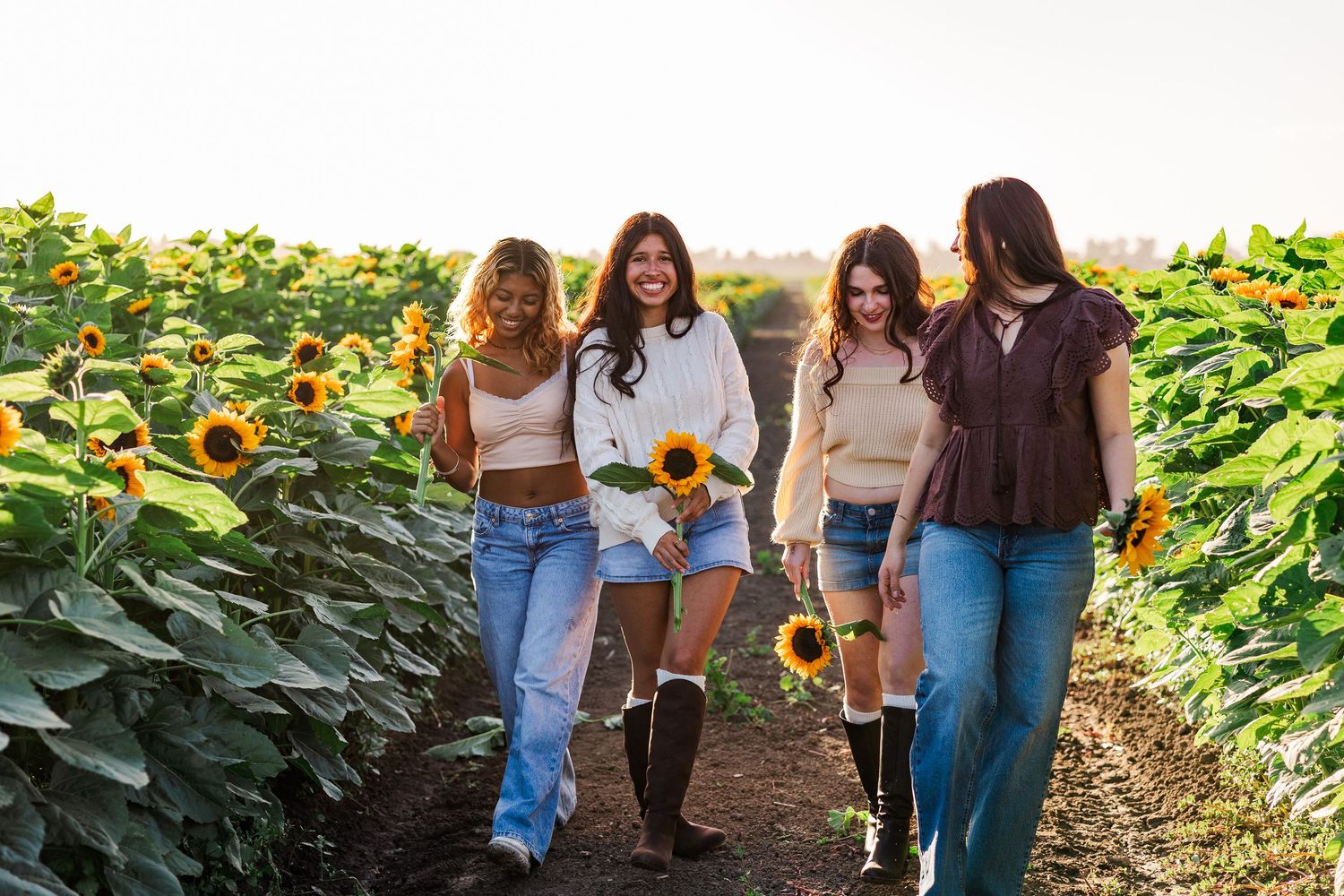 Group walking through rows of tall sunflowers in a field during golden hour.