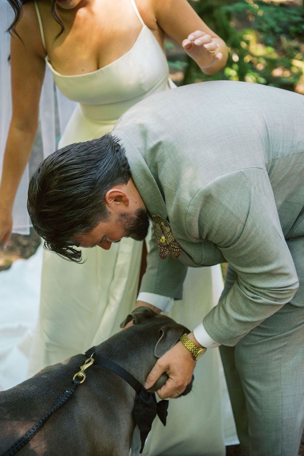 Person in gray suit bends down to pet black dog during outdoor wedding celebration.