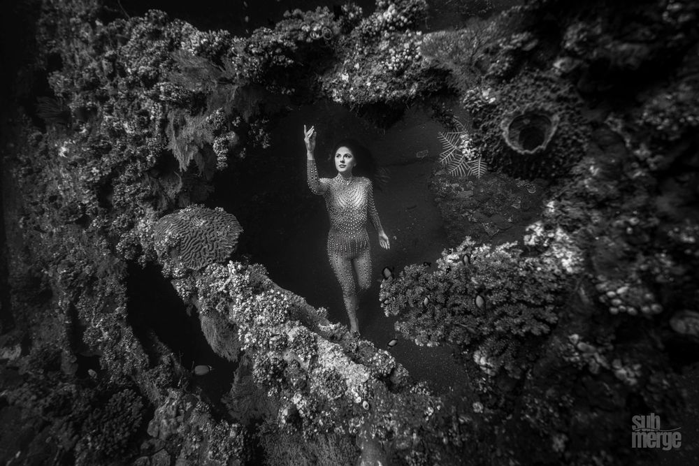 Artistic black and white photograph of a waterfall scene with dramatic lighting and misty atmosphere.