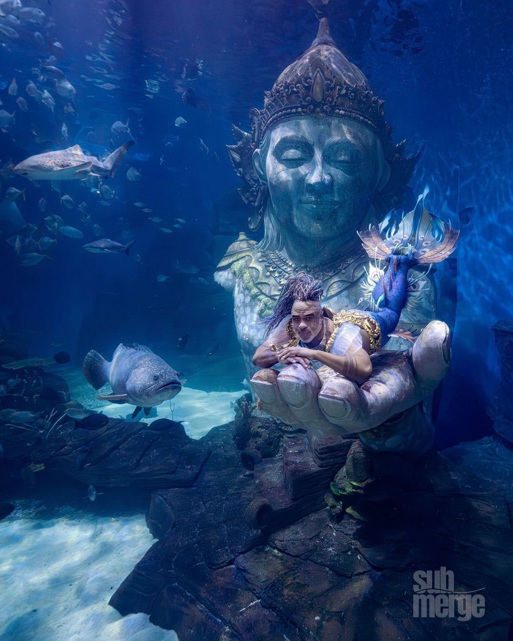 Underwater photographer captures marine life around coral formations in deep blue ocean setting.