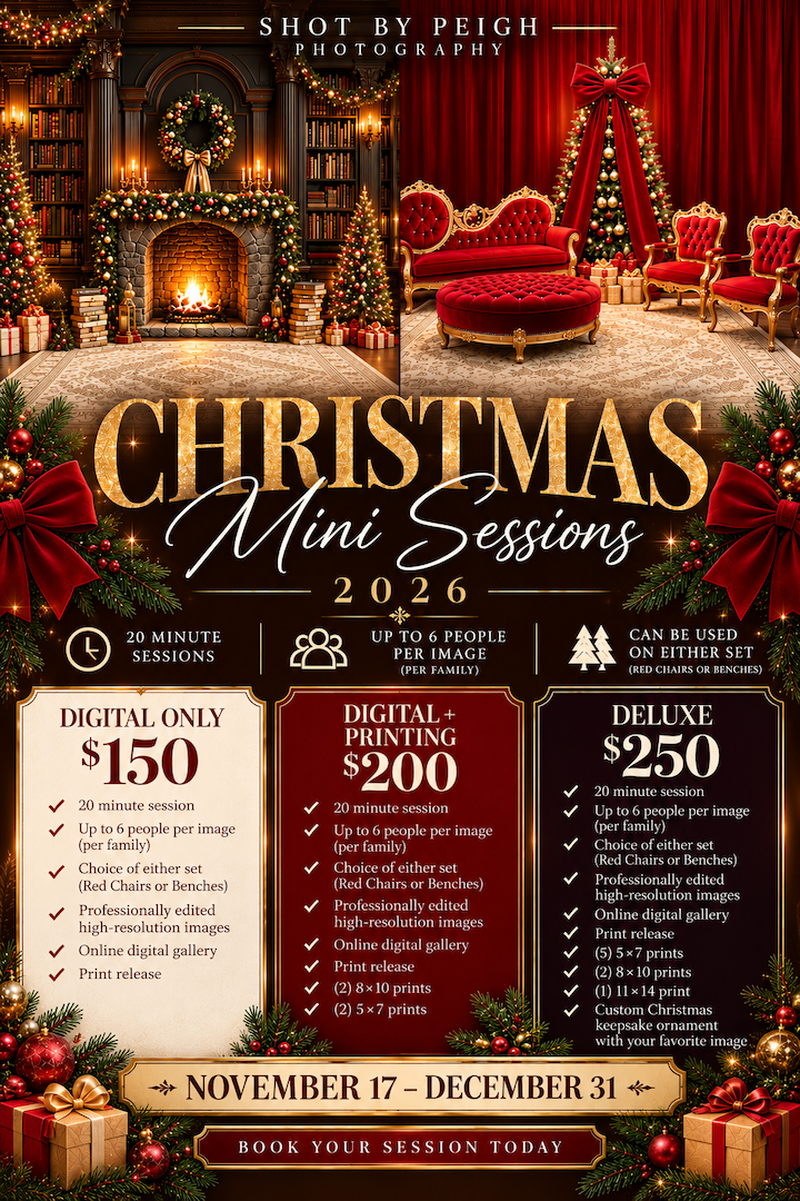 Christmas mini session photography promo showing holiday backdrops, $150 for 20 min session Nov-Dec.