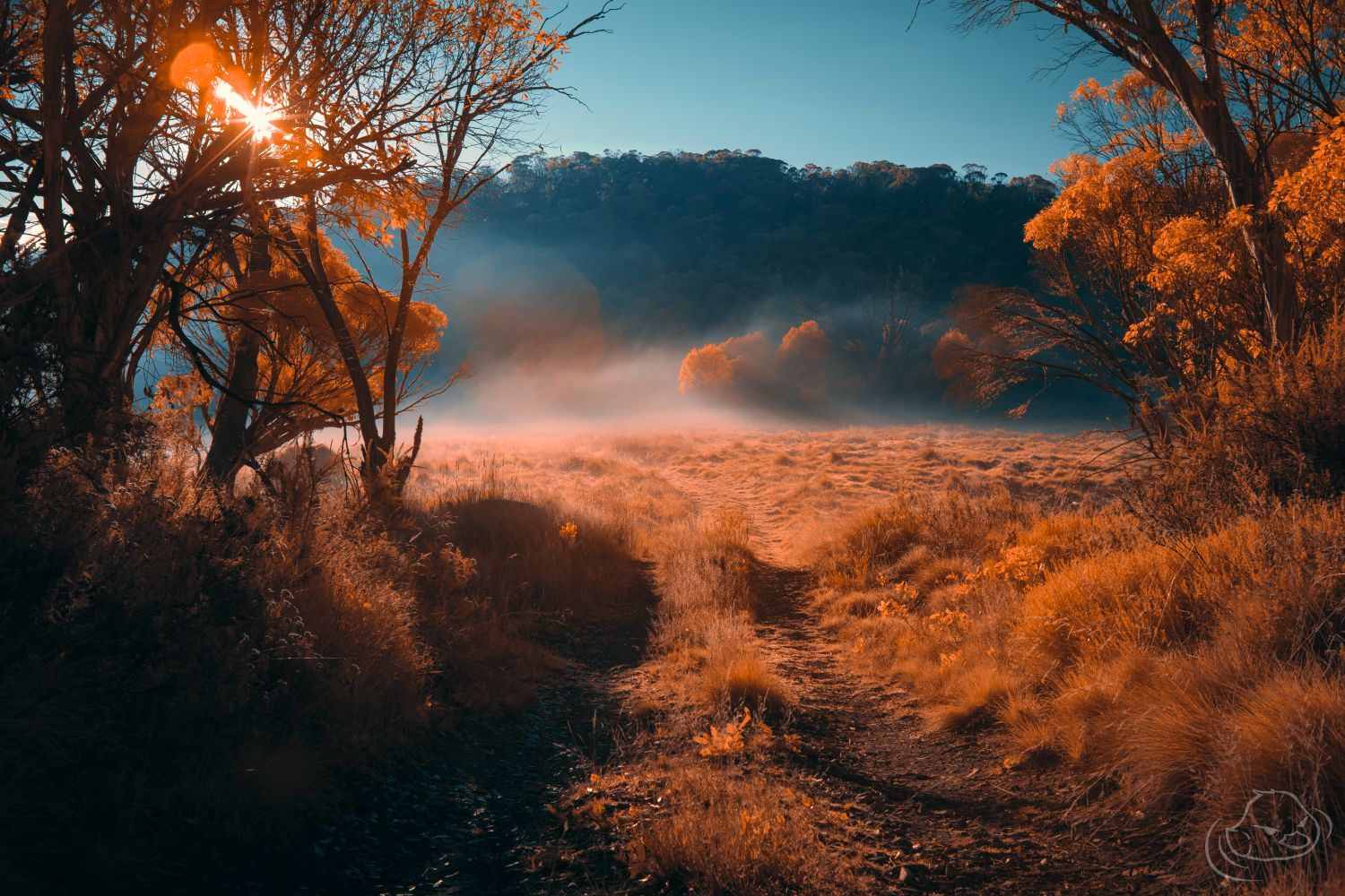 Path to ruins - Infrared