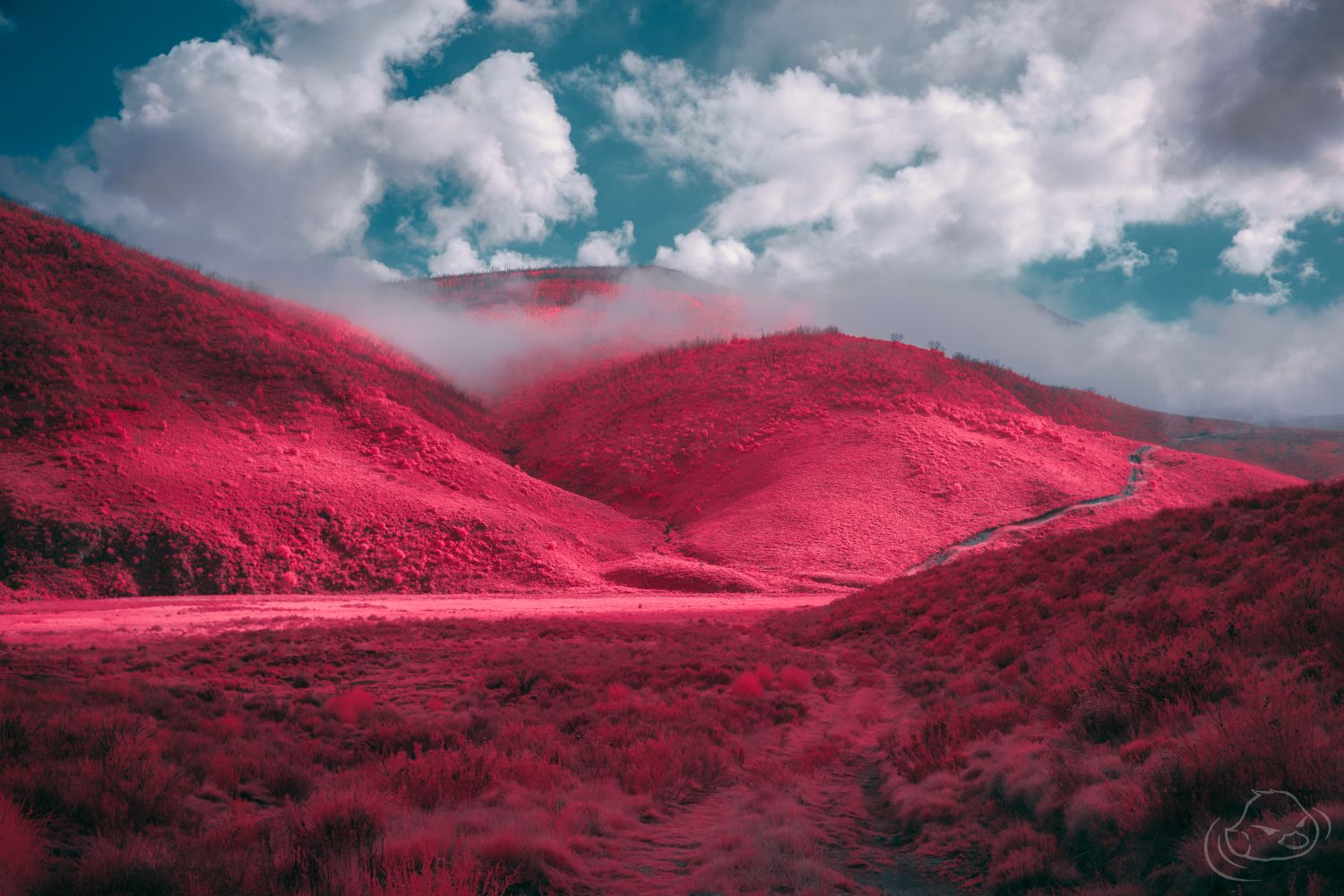 In the clouds - Infrared